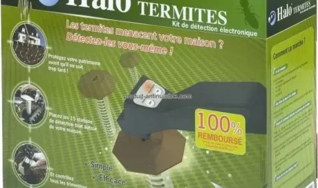 Halo termites