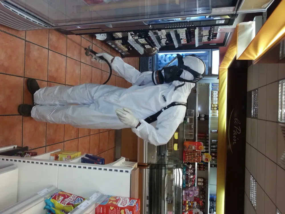 Désinsectisation dans magasn alimentairewebp