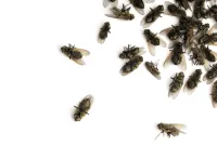 Capture d’écran 2026-03-23 à 19