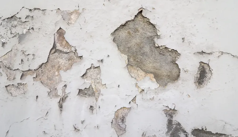 🦠 Moisissures, odeurs, murs qui s’effritent : l’humidité n’est jamais anodine